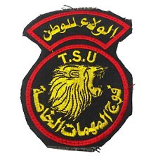 IRAQ-IRAQI SPECIAL FORCES LION PATCH picture