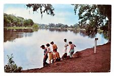 A Scene at Lake Jackson, Texas. Vintage Postcard picture