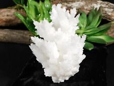100% Natural Aragonite CAVE STALACTITE Crystal Cluster Chihuahua Mexico 182gr picture