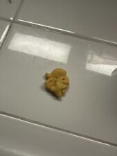 rare goldfish conjoined cracker 3 School of fish  picture