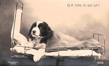 RPPC English Setter Puppy Dog Morning Lazy Bed 1906 Photo Vtg Postcard D55 picture