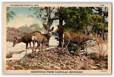 1938 Greetings From Cadillac The Deer Are Plentiful Here Michigan MI Postcard picture