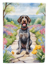 German Wirehaired Pointer Spring Path Flag Canvas House Size DAC6634CHF picture