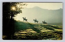 Linville NC-North Carolina, Horseback Riding At Linville, Vintage Postcard picture