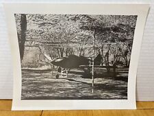 Bell P-39 AIRACOBRA USAAF BELL AIRCRAFT VTG PHOTO PRINT picture