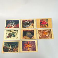 Vintage 00's Lot of 8 Wood Lithography Tropical Fish Postcards Unused Not Mailed picture