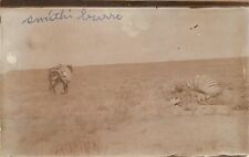 RPPC Utah Bluff Postcard 1914 Desert Bones Smith s Burro 23-7732 picture