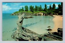 Somerset-Bermuda, Secluded Beach at Somerset, Antique Vintage Souvenir Postcard picture