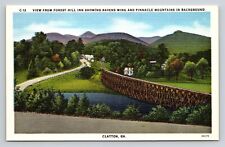 Clayton GA View from Forest Hill Inn Ravens Wing Pinnacle Mountains Vtg Postcard picture