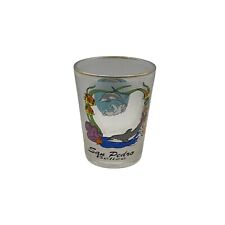 SAn Pedro Belize Souvenir Shot Glass with Dolphin Design 1.5 ounce picture