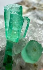 346 Ultra Rare Full Terminated Transparent Emerald Crystals On Matrix @PAK picture