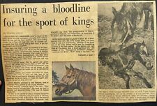 Vintage RARE Secretariat Newspaper Aritcle Bloodline Lexington, KY Triple Crown picture