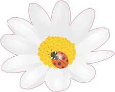 5in x 4in Ladybug and Daisy Vinyl Sticker Car Truck Vehicle Bumper Decal picture