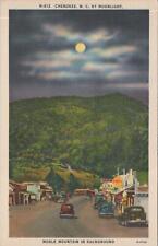 Postcard Cherokee NC by Moonlight Noble Mountain in Background  picture
