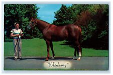 c1950s Whirlaway Calumet Farm's Triple Crown Winner Lexington KY Postcard picture