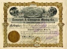 Tamarack and Chesapeak Mining Co. - 1911 dated Idaho Mining Stock Certificate -  picture