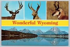 Postcard Wyoming Grand Tetons Jackson Lake Deer Antelope and Jackalope picture