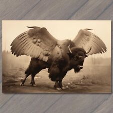 POSTCARD Majestic Winged Buffalo Soaring in the Sky Buffalo Wings Funny picture