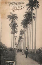 La Guadeloupe Illustree,Capesterre Postcard Vintage Post Card picture