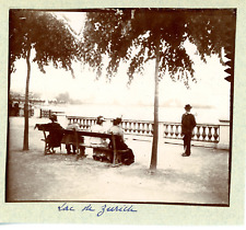 Switzerland, Zurich, the Lake, 1897 Vintage Silver Print, Silver Print 7x8  picture