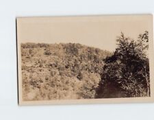 Postcard Nature Landscape Scenery Vintage Picture picture