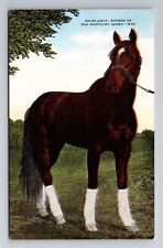 Whirlaway, Winner Of The 1941 Kentucky Derby Antique Vintage Souvenir Postcard picture
