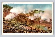 Yellowstone National Park-Roaring Mountain #4280 Antique, Vintage Postcard picture