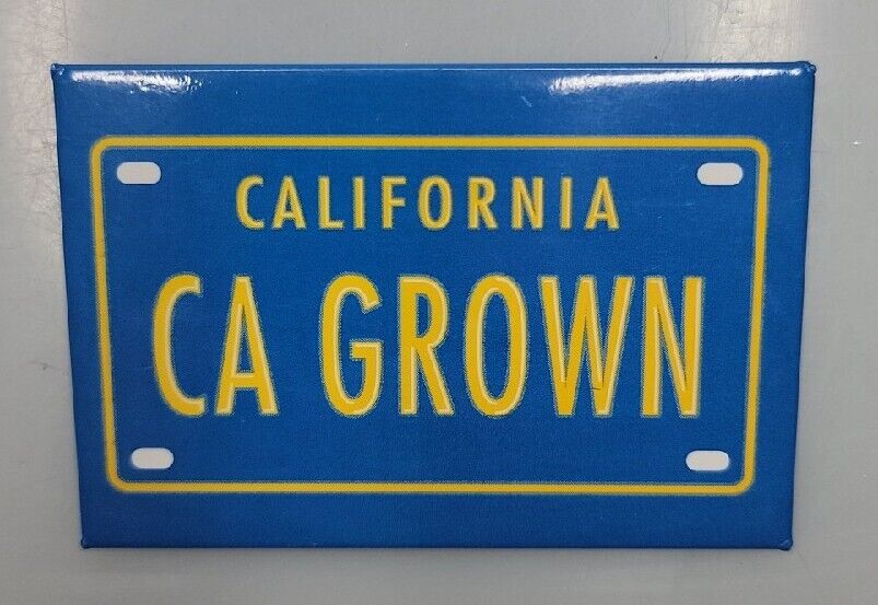 Vtg California License Plate Button Pin: CA Grown