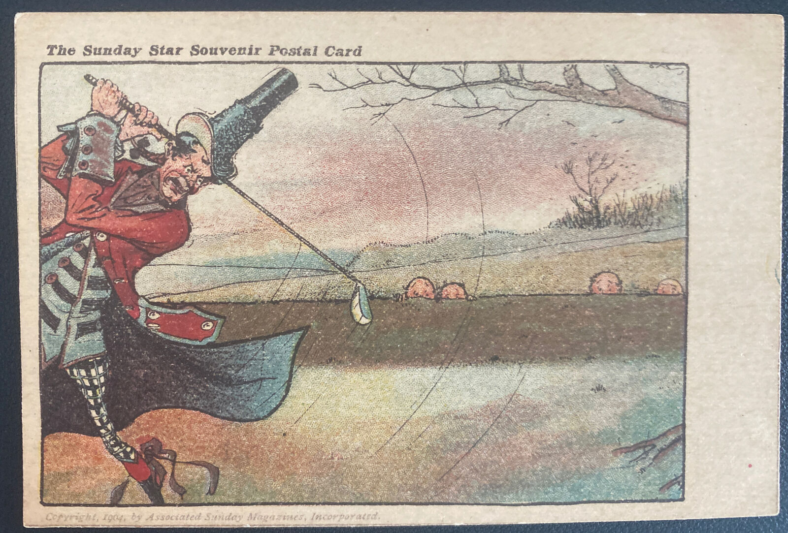 Mint USA Vintage Picture Postcard PPC The Sunday Star souvenir 1904
