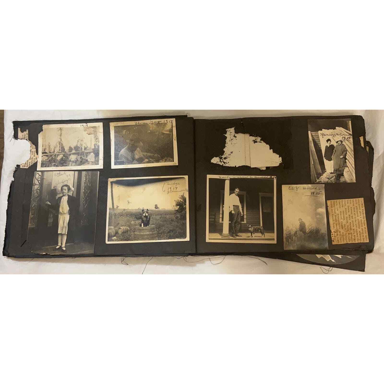 INCREDIBLE Antique Early 1900s Family Photo Album, Photographic Scrapbook