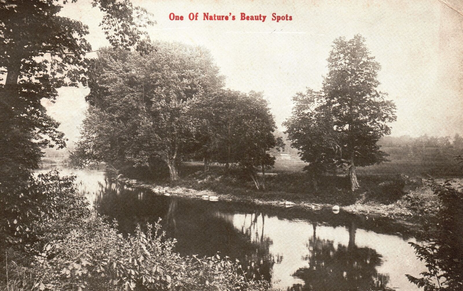 Vintage Postcard 1912 One Of Nature's Beauty Spots Lake Forest Trees Fishing