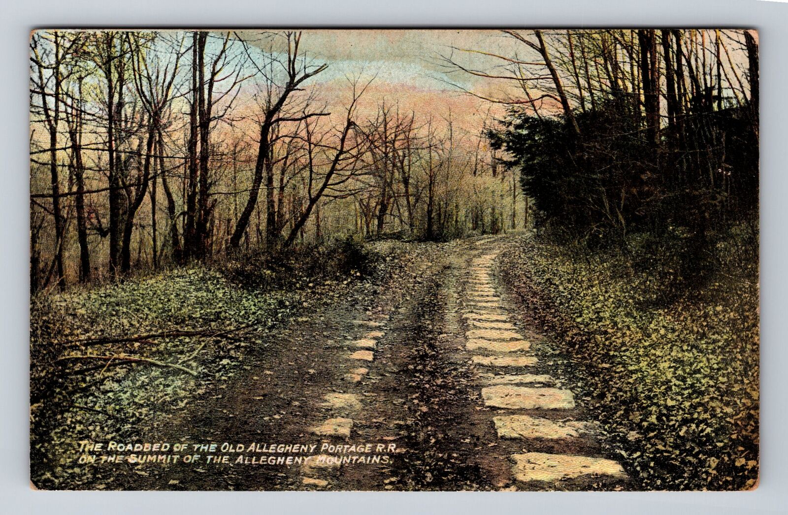 Allegheny Mts PA-Pennsylvania, Roadbed Old Allegheny Portage RR Vintage Postcard
