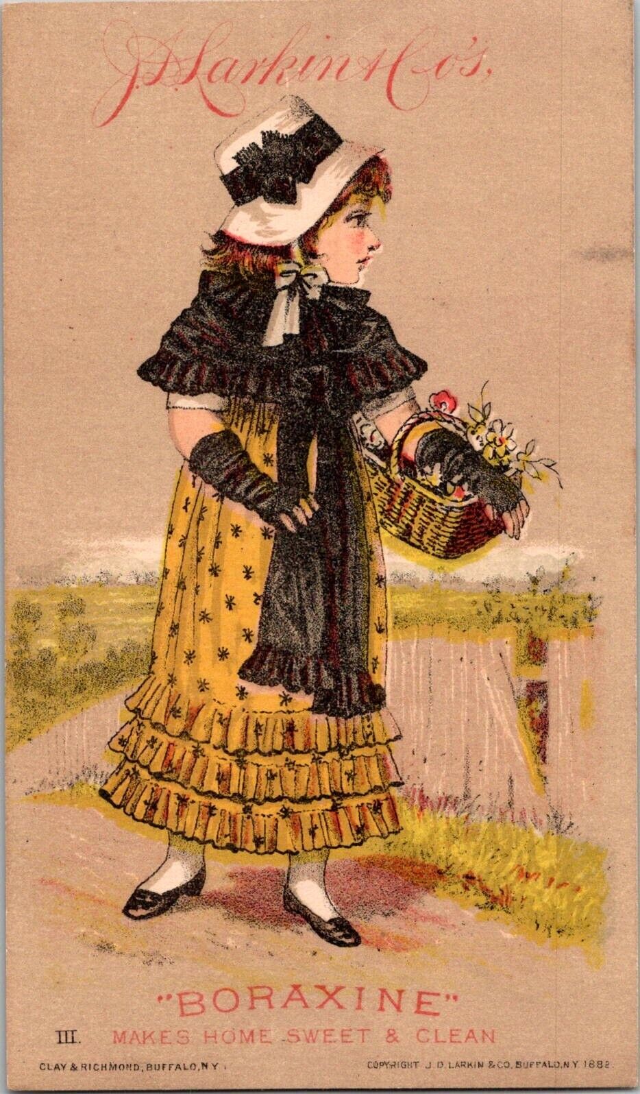 1882 BORAXINE J D Larkin & Son Lovely Girl Yellow Dress Victorian Trade Card