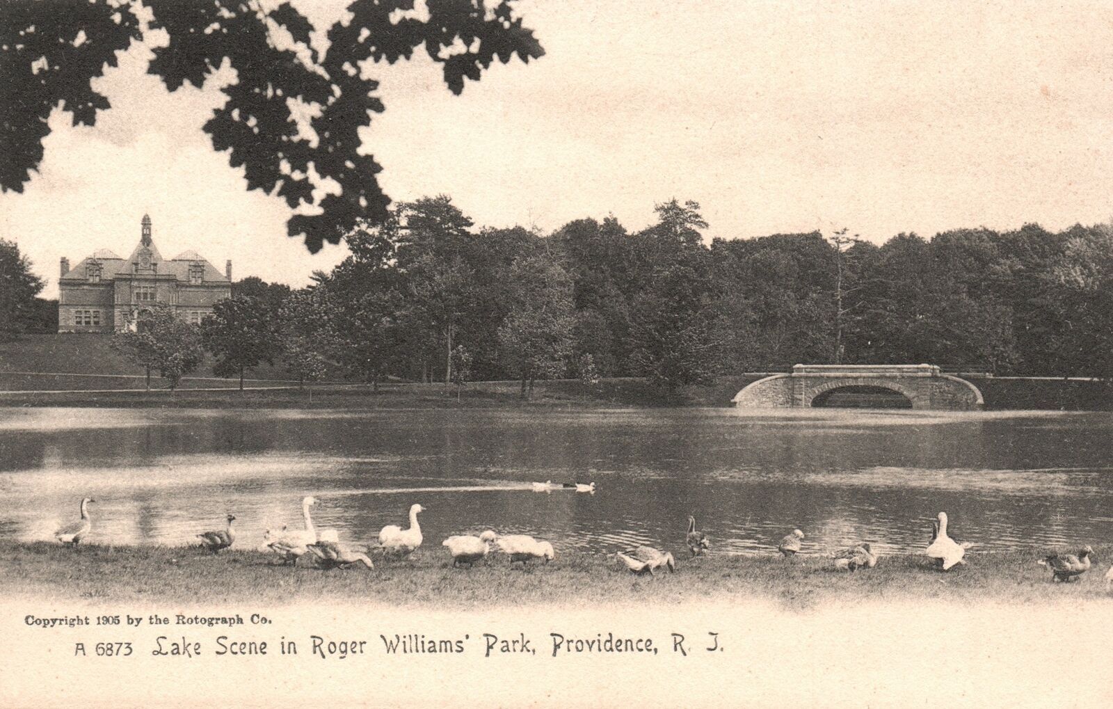 Vintage Postcard Lake Scene In Roger Williams\' Park Providence Rhode Island TRC