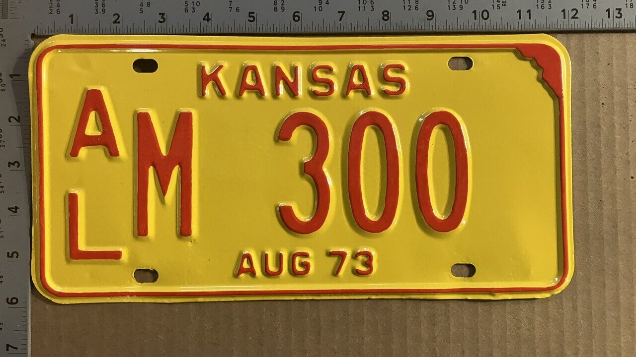 1973 Kansas license plate AL M 300 Allen FUN COLOR repaint 13621