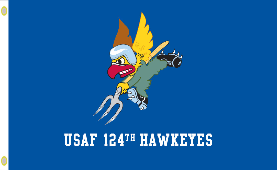 USAF 124th Fighter Squadron \