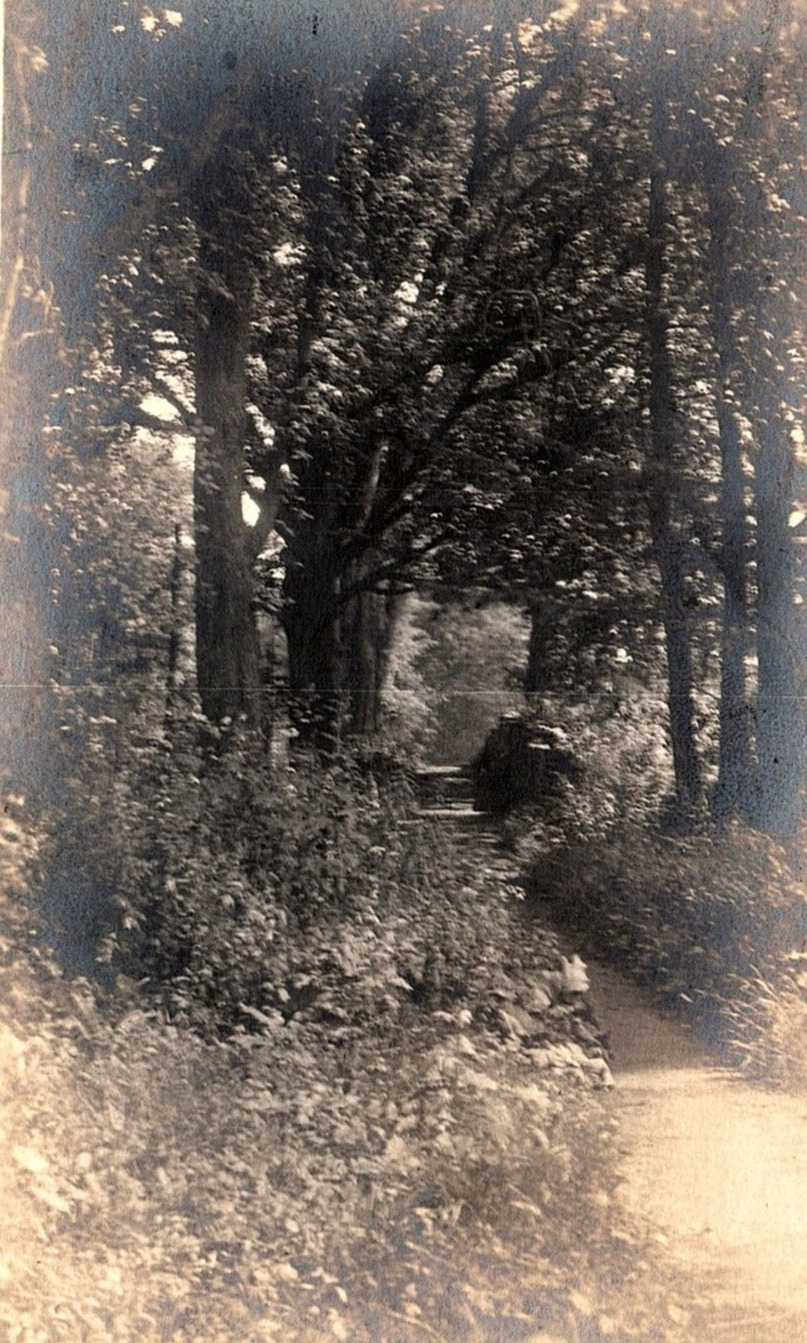 1917 WILMINGTON DELEWARE WOODED PATH PHOTO RPPC POSTCARD P865