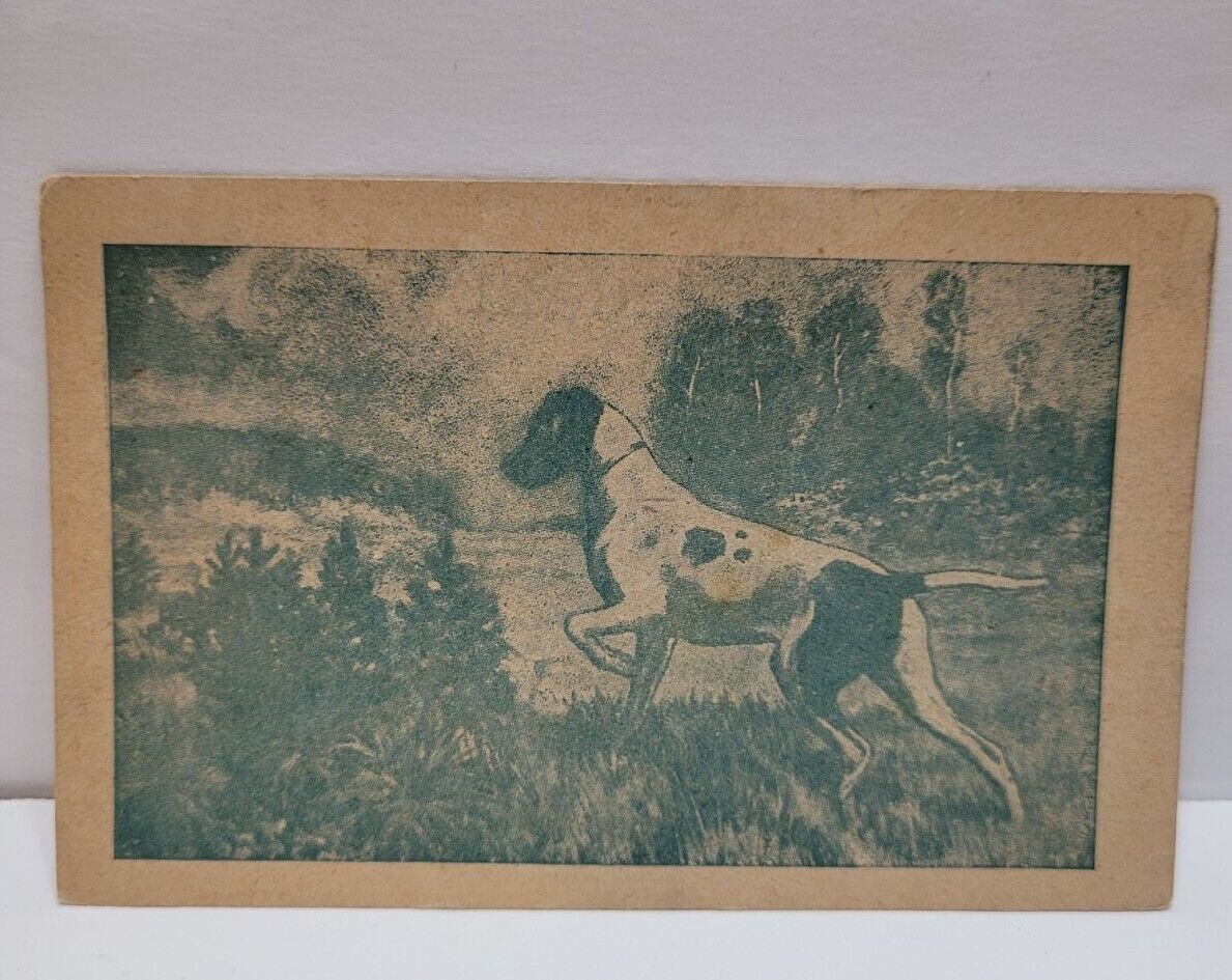 Vintage Used 1909 Postcard,  Dog On The Hunt, On The Range
