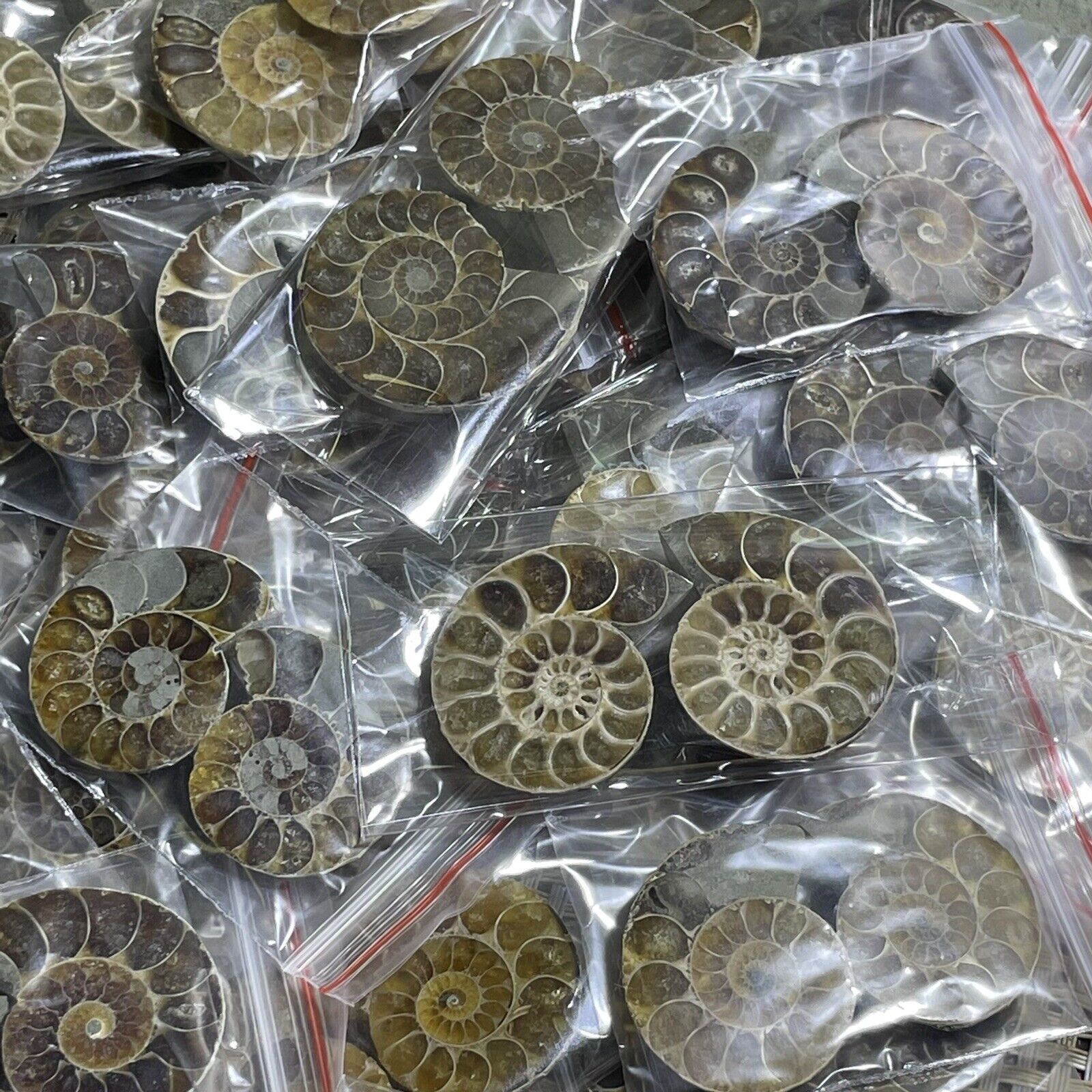 50 Pairs of Split Ammonite crystal Specimen Shell Healing Madagascar