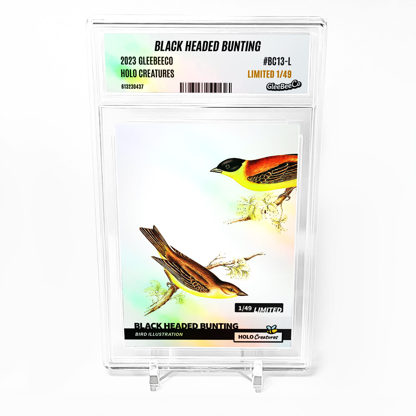 BLACK HEADED BUNTING Card 2023 GleeBeeCo Holo #BC13-L - Limited Edition /49