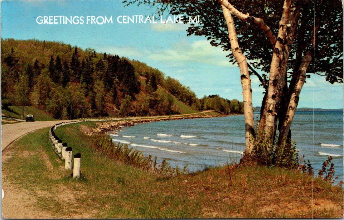 Forest  And Sky Along Adventure Highway Central Lake Michigan Vintage Postcard