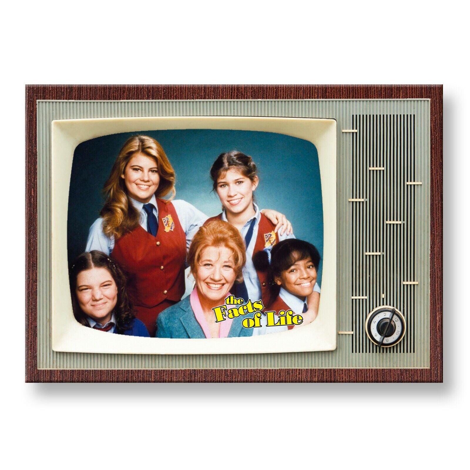 FACTS OF LIFE TV Show TV 3.5 inches x 2.5 inches Steel FRIDGE MAGNET