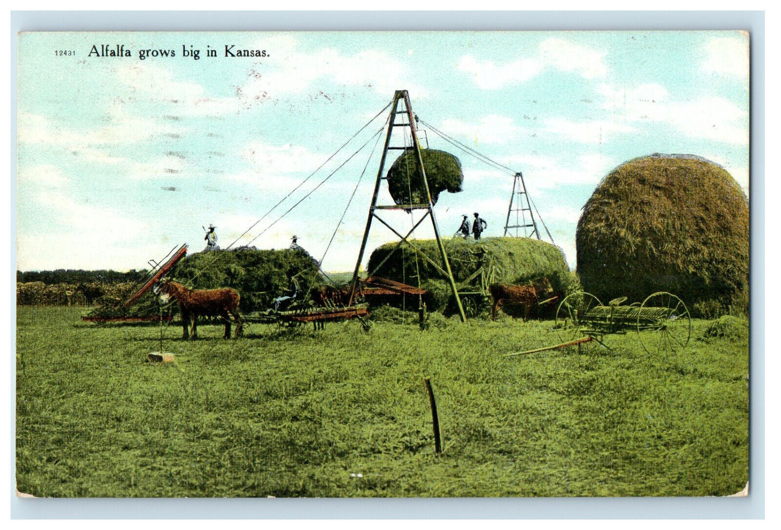 1938 Horse Pulley, Alfalfa Grows Big in Kansas KS Posted Vintage Postcard