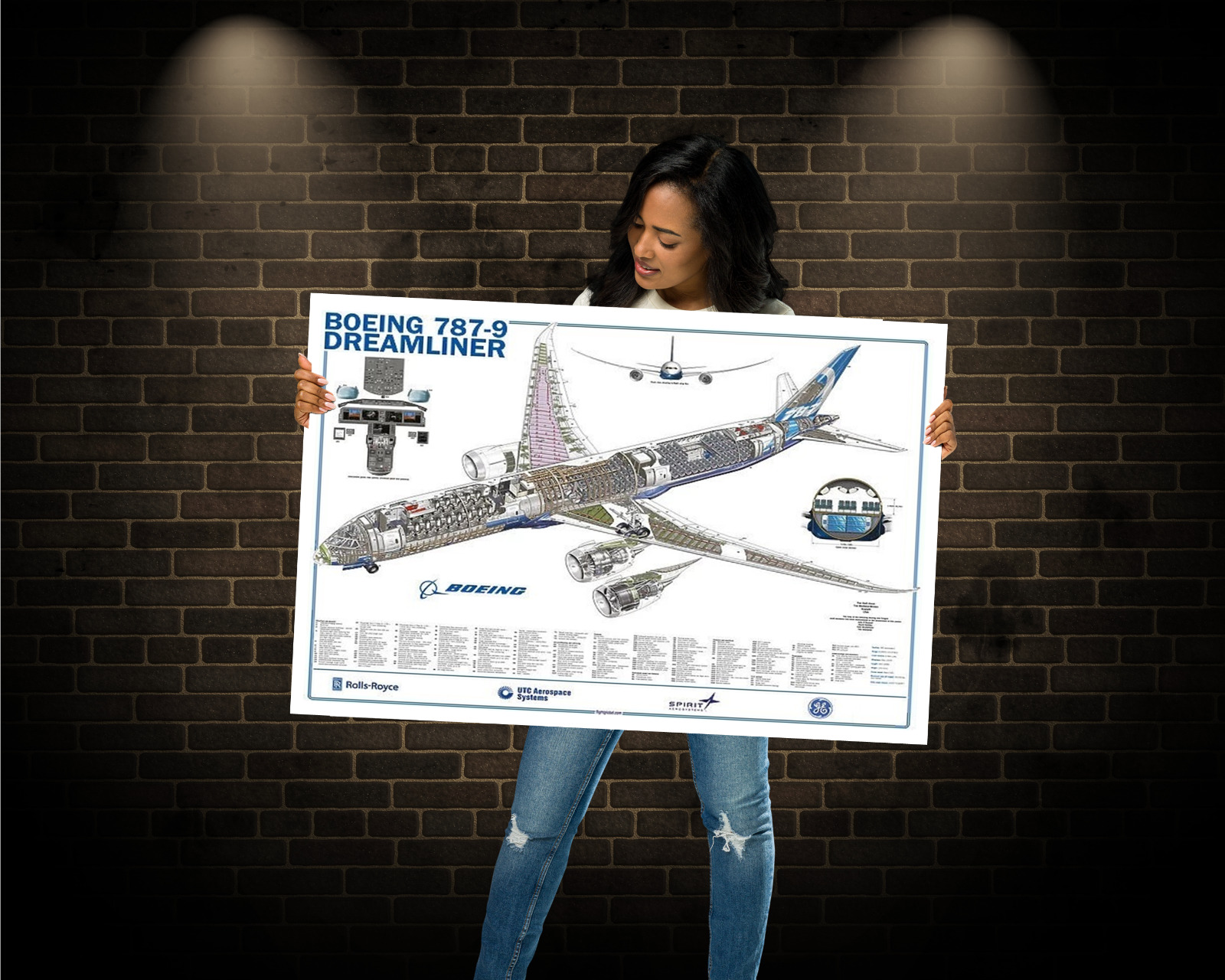 Boeing 787-9 Dreamliner Cutaway Poster  24\