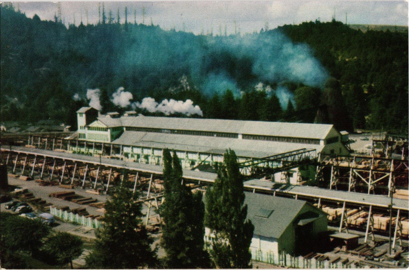 Vintage Pacific Lumber Sawmill Company in Scotia California Postcard