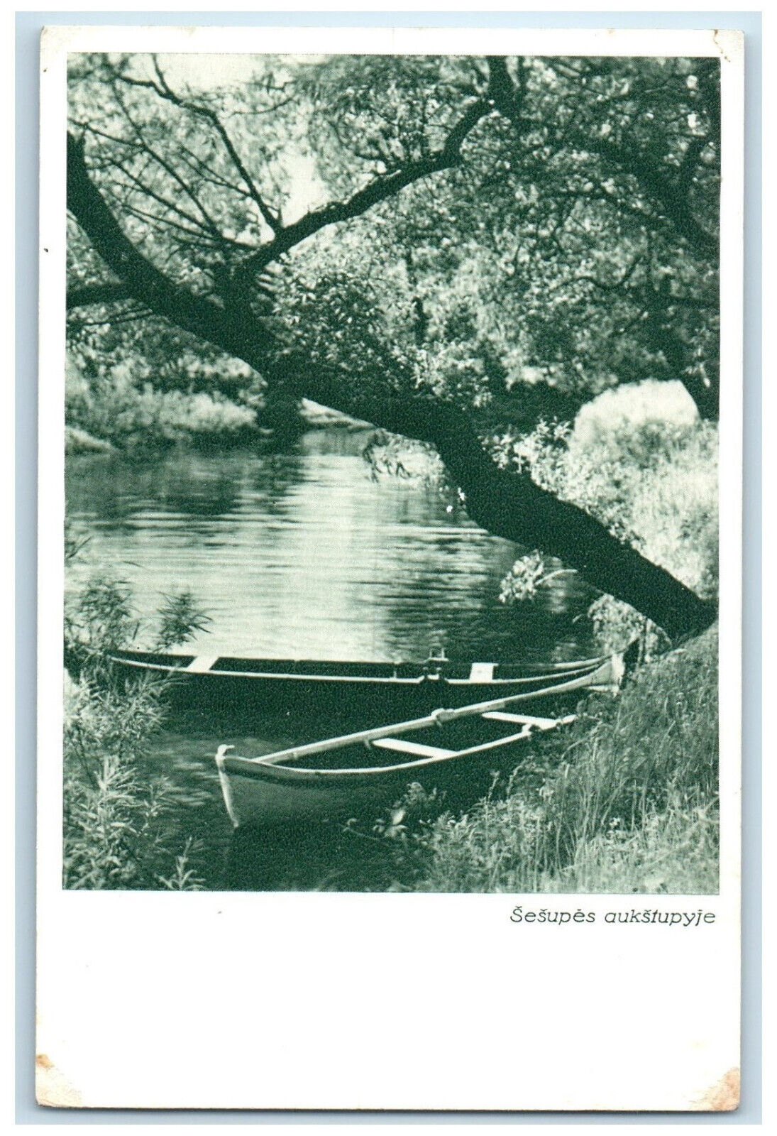 c1950\'s The Upper Reaches of the Sesupe Lithuania Vintage Unposted Postcard