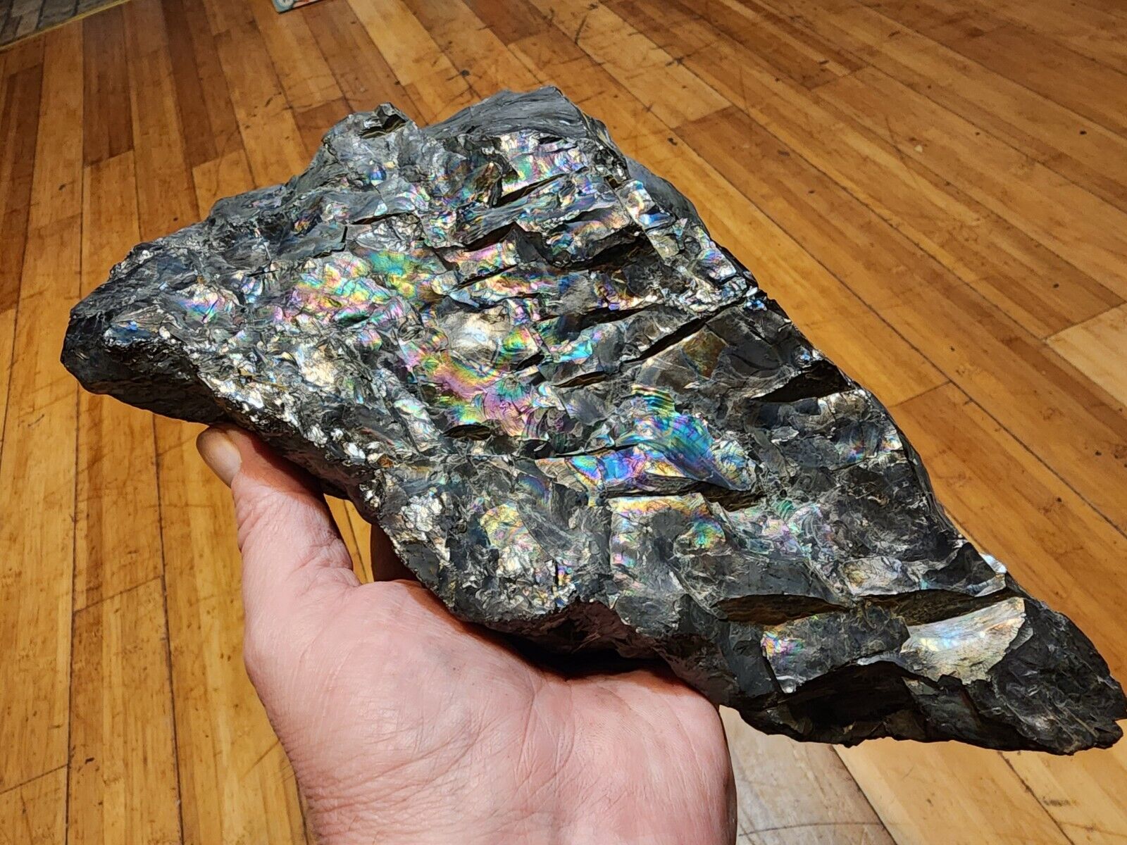 Huge Iridescent PEACOCK COAL Rainbow Anthracite, Tresckow PA