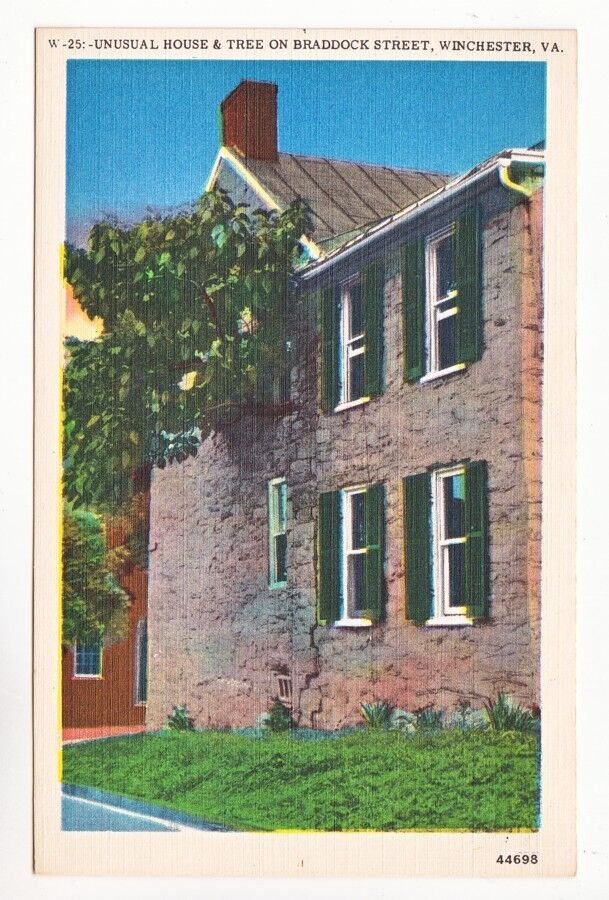 Postcard: Unusual House & Tree on Braddock Street, Winchester, VA