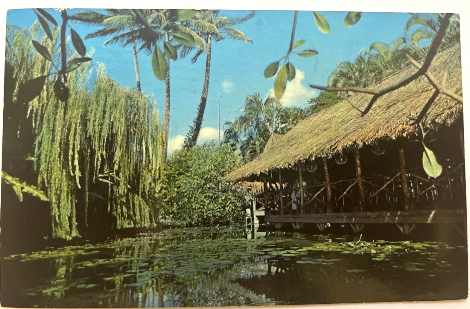 Honolulu Hawaii The Willows 901 Hausten St. Restaurant Postcard UNP c1964