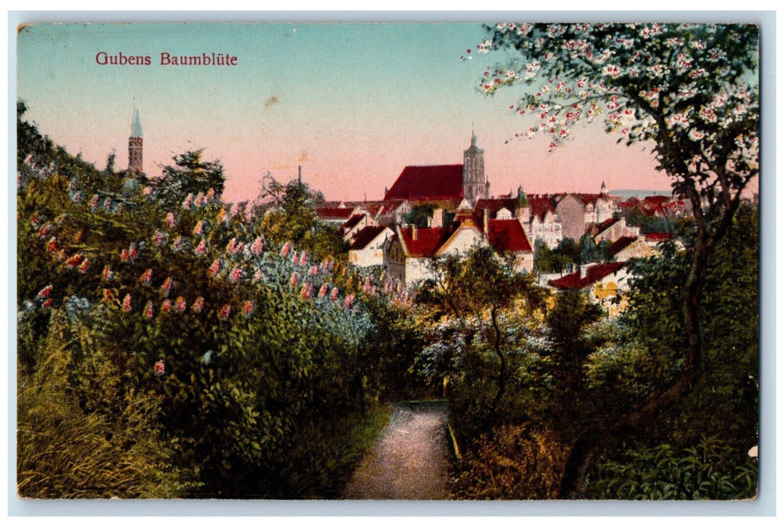 Guben Brandenburg Germany Postcard Tree Blossom c1910 Posted Antique